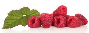 Raspberry Ketone – commenti – ingredienti - erboristeria – come si usa – composizione